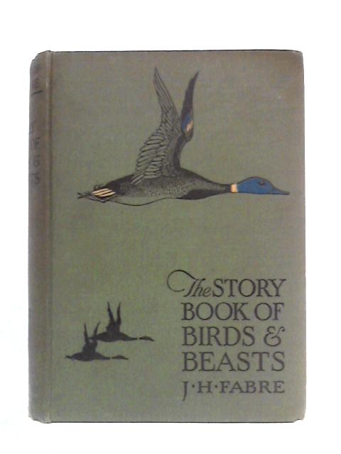 The Story Book Of Birds & Beasts By J H Fabre