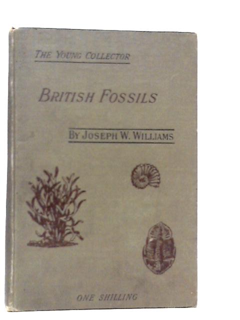 British Fossils and Where to Seek Them By Joseph W.Williams