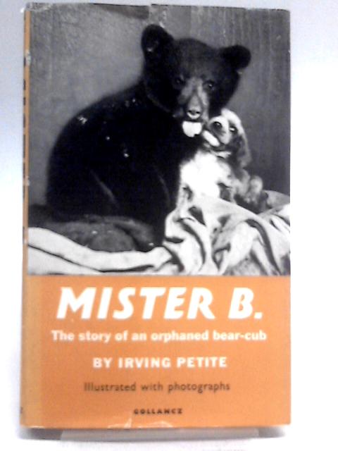 Mister B von Irving Petite