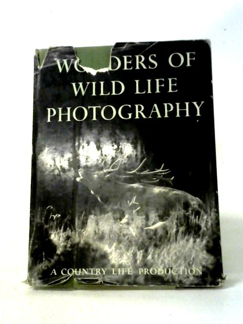 Wonders of Wild Life Photography By Unstated