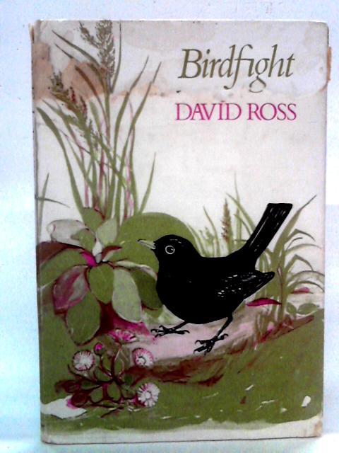 Birdfight By David Ross