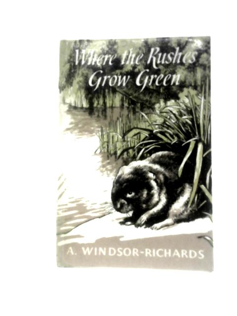 Where the Rushes Grow Green By A. Windsor-Richards