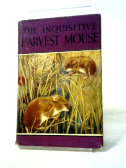 The Inquisitive Harvest Mouse By Noel Barr