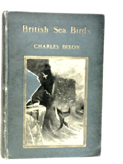 British Sea Birds By Charles Dixon