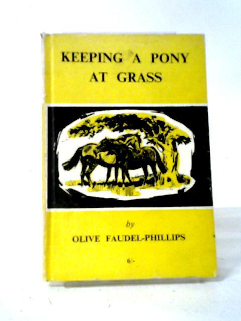 Keeping A Pony At Grass By Mrs. O. Faudel-Phillips