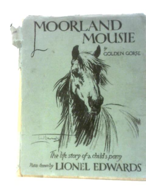 Moorland Mousie By Golden Gorse