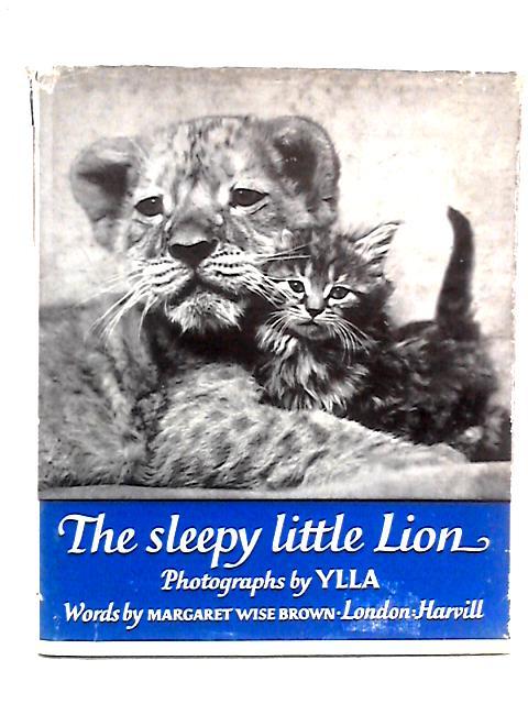 The Sleepy Little Lion von Margaret Wise-Brown