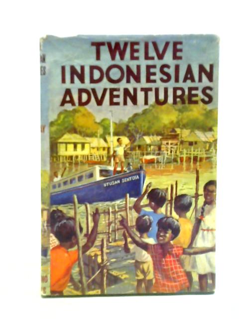 Twelve Indonesian Adventures von Mathew Henderson Finlay