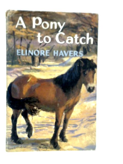 A Pony to Catch By Elinore Havers