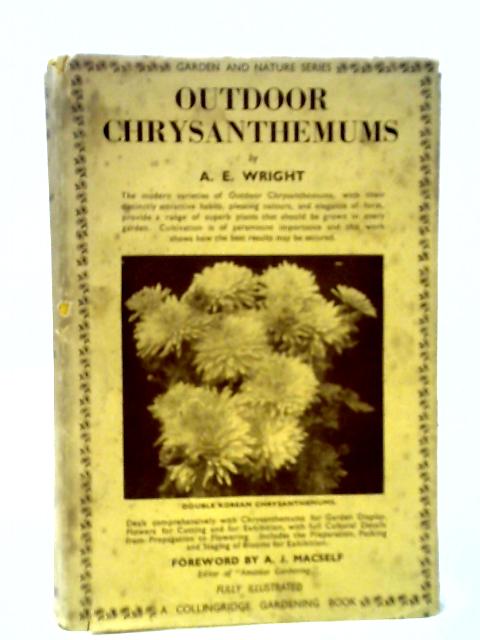 Outdoor Chrysanthemums von A. E. Wright