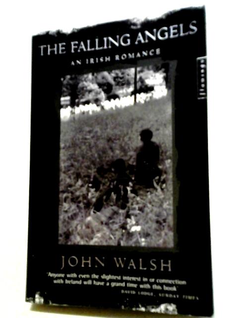 The Falling Angels: An Irish Romance von John Walsh