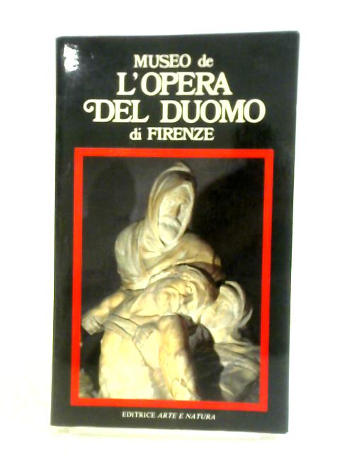 Museo de L'Opera del Duomo di Firenze von Enzo Settesoldi