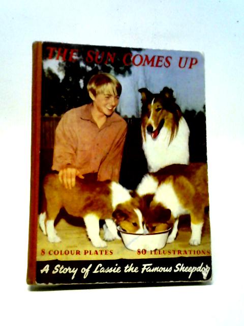 The Sun Comes Up A Story Of Lassie The Famous Sheepdog By Unstated