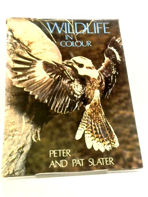 Wildlife in Colour von Peter & Pat Slater