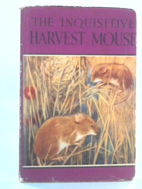 The Inquisitive Harvest Mouse von Noel Barr