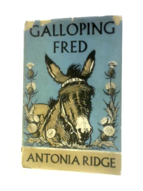 Galloping Fred By Antonia Ridge