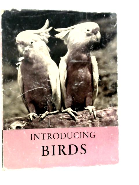 Introducing Birds By V.J.Stanek