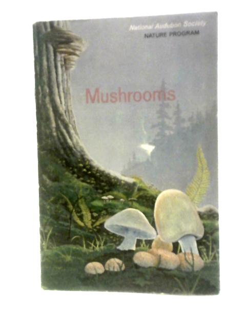 Mushrooms By Roman Vishniac