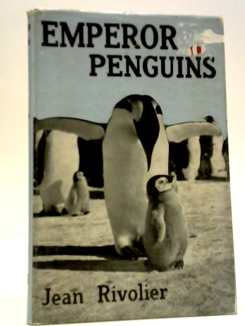 Emperor Penguins By Jean Rivolier