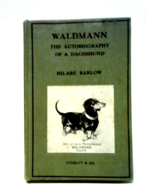 Waldmann By Hilare Barlow