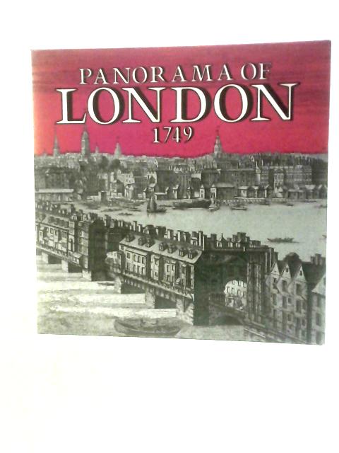 Panorama of London, 1749 von J.Wellsman