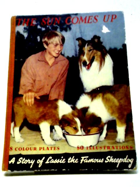 The Sun Comes Up. A Story of Lassie the Famous Sheepdog von Unstated.