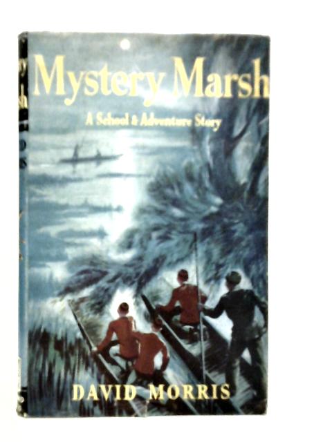 Mystery Marsh By David Morris