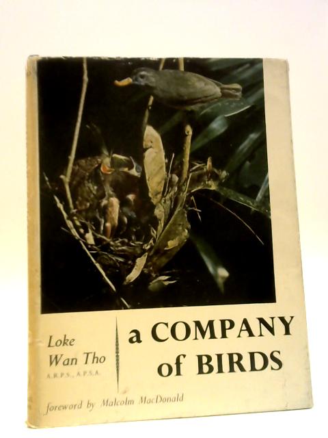 A Company of Birds By Loke Wan Tho