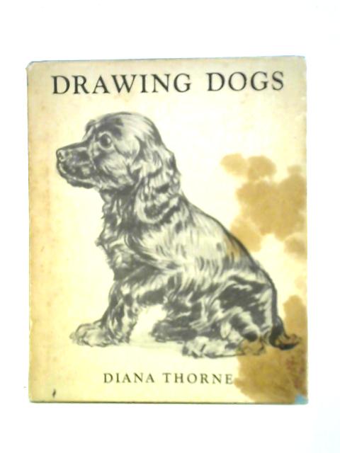 Drawing Dogs By Diana Thorne