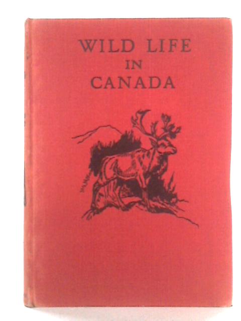 Wild Life In Canada By C. Bernard Rutley