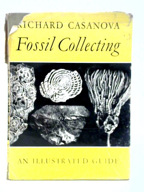 Fossil Collecting By Richard Casanova