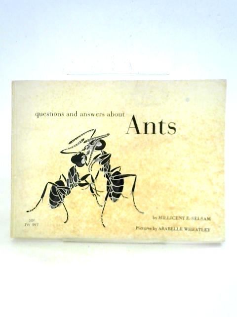 Questions And Answers About Ants von Millicent Ellis Selsam