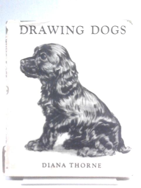 Drawing Dogs By Diana Thorne