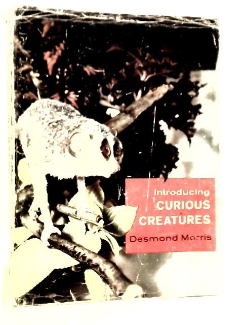 Introducing Curious Creatures By Desmond Morris