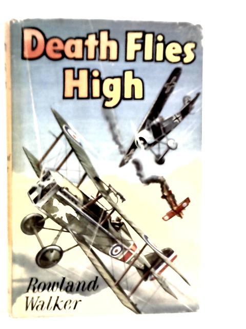 Death Flies High By Rowland Walker