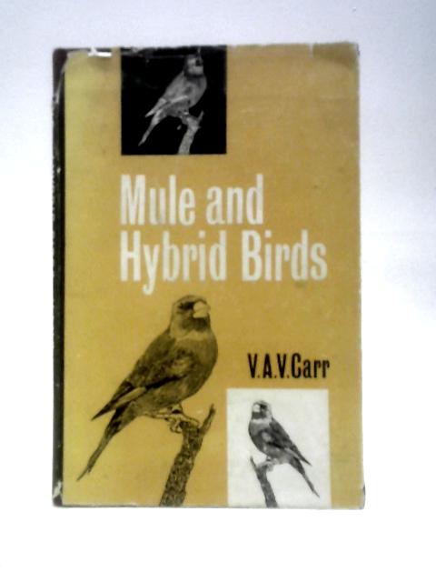 Mule and Hybrid Birds By V. A. V.Carr