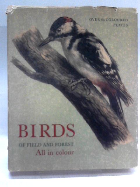 Birds of Field and Forest By E. Demartini (Ill.)