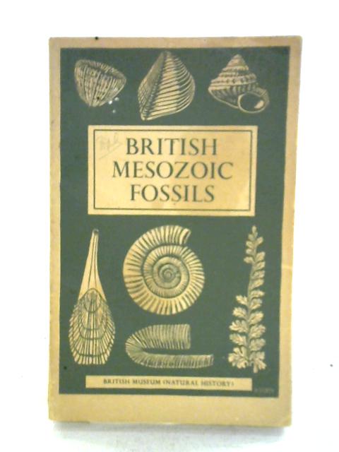 British Mesozoic Fossils By Unstated