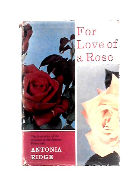 For Love of a Rose By Antonia Ridge