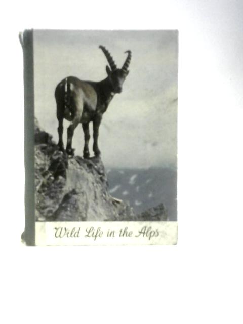 Wild Life in the Alps By Gerth Rokitansky