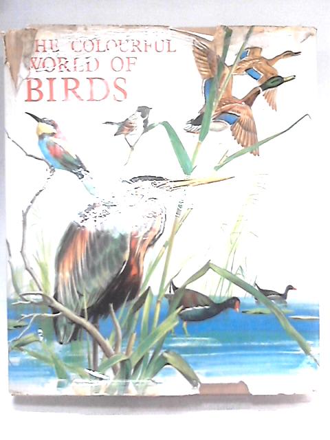 The Colourful World of Birds von Jean Dorst