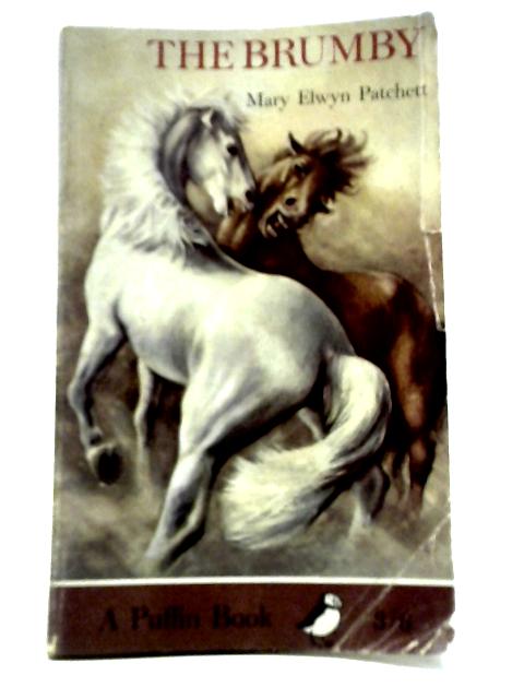 The Brumby By Mary Elwyn Patchett