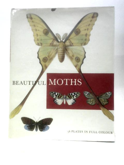 Beautiful Moths By Josef Moucha