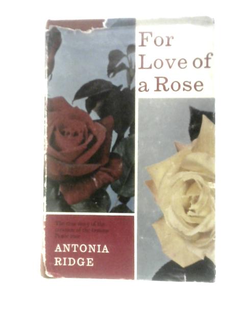 For Love of a Rose By Antonia Ridge