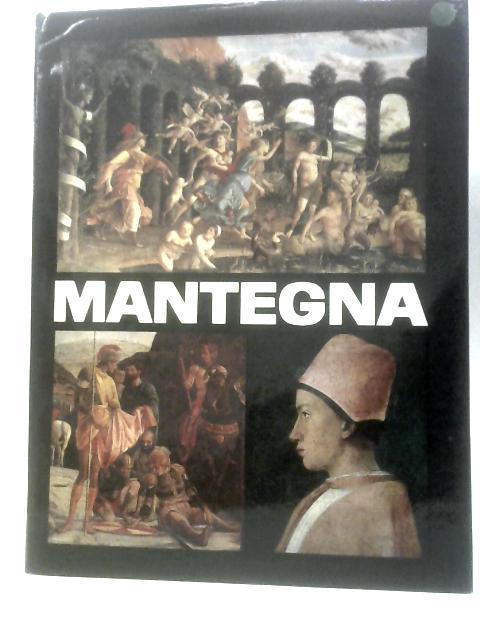 Mantegna By Alexandru Balaci