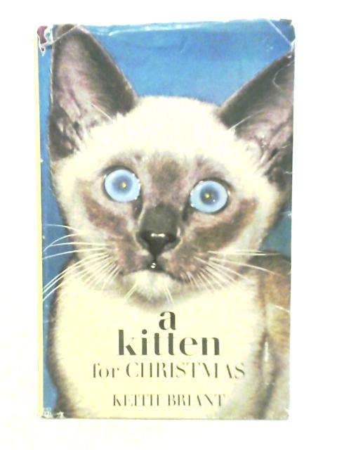 A Kitten for Christmas By Keith Briant