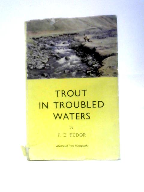 Trout In Troubled Waters By Frederic E Tudor