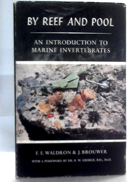 By Reef And Pool. An Introduction To Marine Invertebrates By F. E. Waldron & J. Brouwer