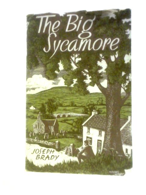 The Big Sycamore By Joseph Brady