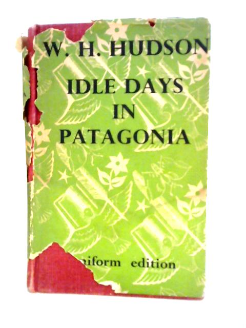 Idle Days in Patagonia